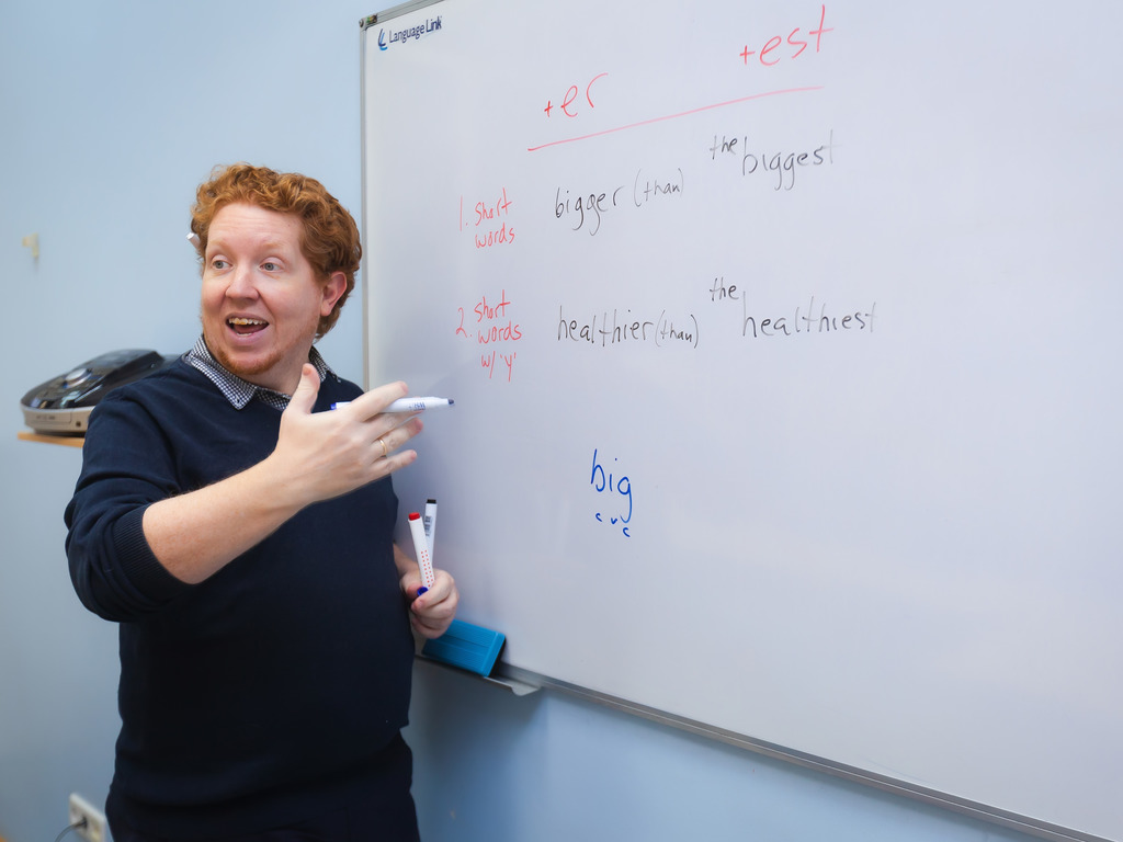 Language Link